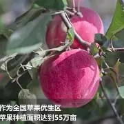 大发娱乐登录入口-包含梅斯豪取全胜，喜获丰收与宝贵三分的词条