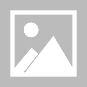 大发娱乐官网-包含广州队实力渐显，球队信心逐渐增强的词条
