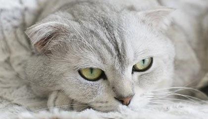 大发娱乐平台|跑步赛事v9.1.4