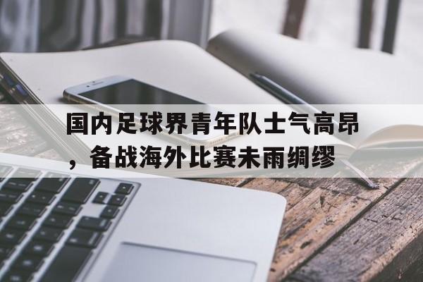 包含国内足球界青年队士气高昂，备战海外比赛未雨绸缪的词条